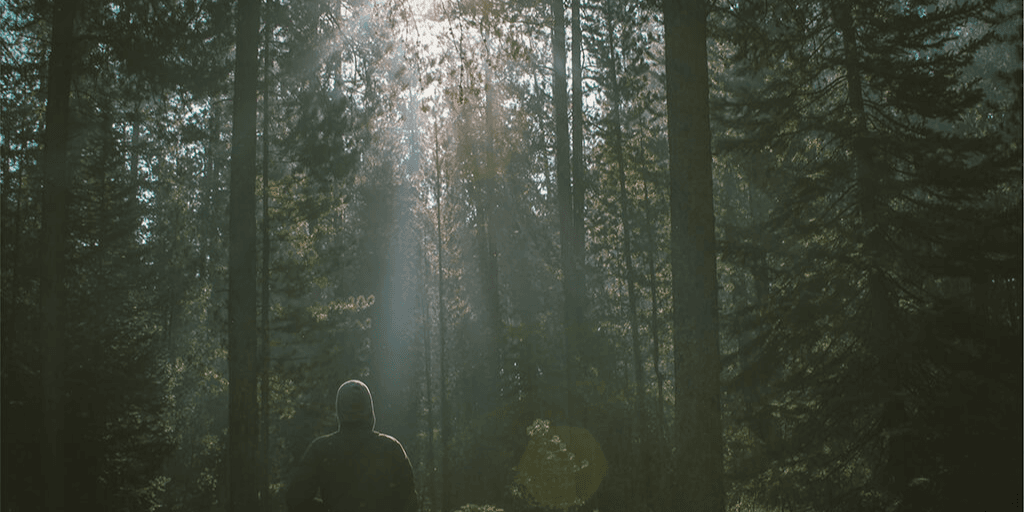 il-mio-miglior-snippet-di-codice-in-assoluto il-mio-miglior-snippet-di-codice-in-assoluto